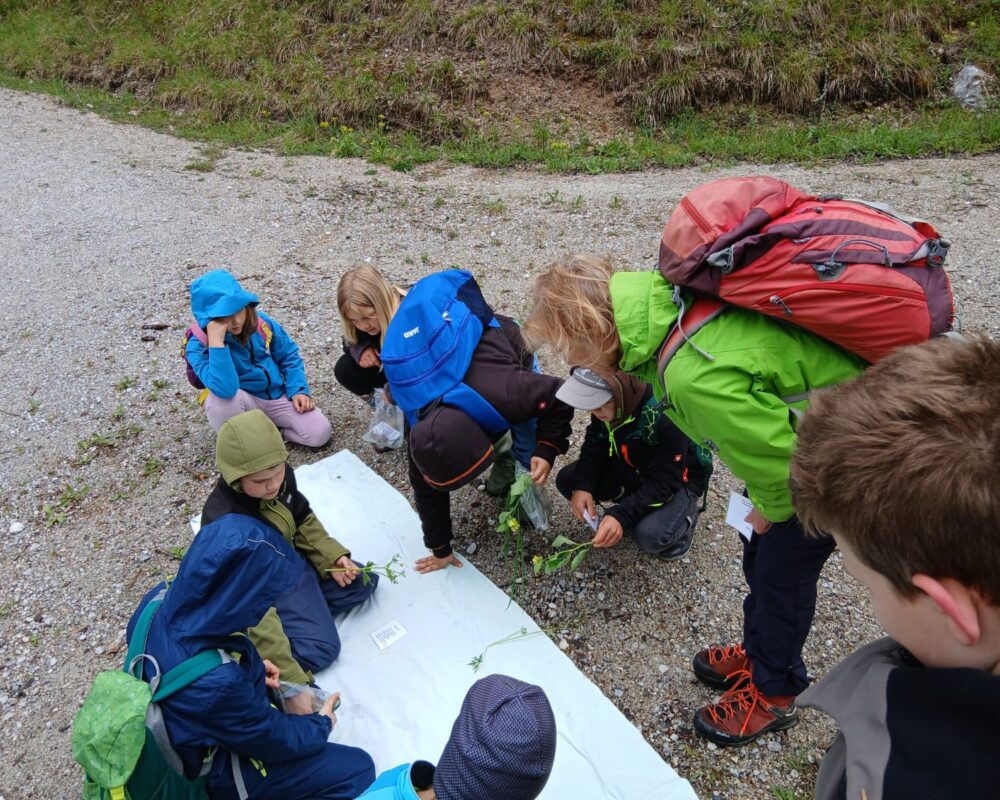 IMG-20250521-WA0022
